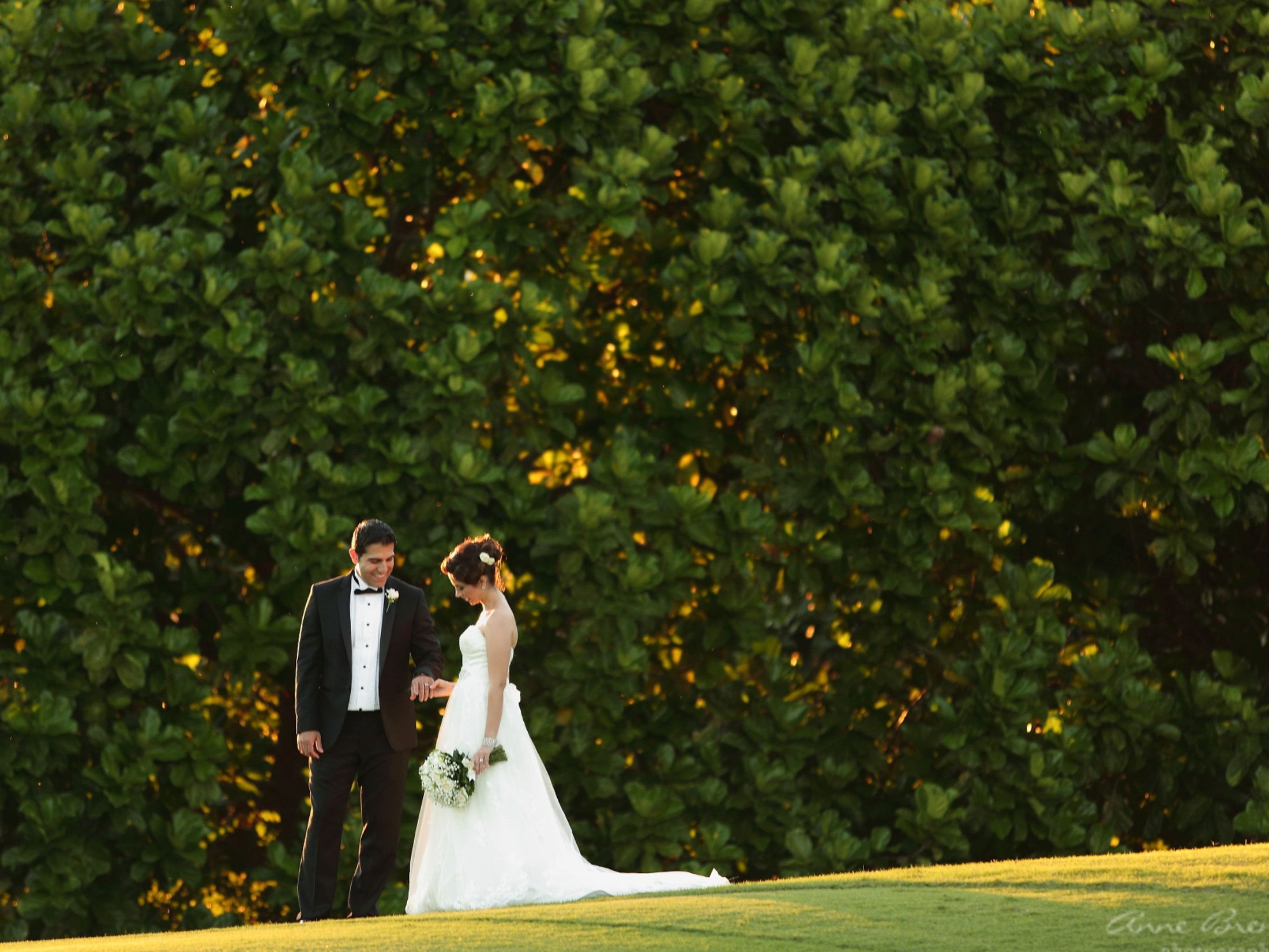 Home Indooroopilly Golf ClubIndooroopilly Golf Club Indooroopilly